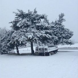 One Last Hoorah Image